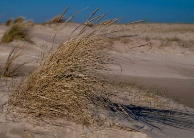 Texel 4 seizoenen een prachtige omgeving bij T Eibernest 19