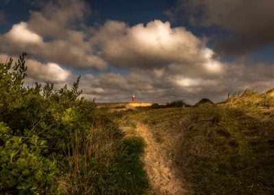 Texel 4 seizoenen een prachtige omgeving bij T Eibernest 4