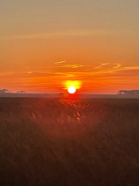De Roggesloot Texel
