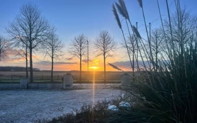 DE COCKSDORP NR 2 GASTVRIJE STEDEN IN NEDERLAND