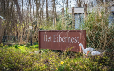 Betalen wij uw overtocht?